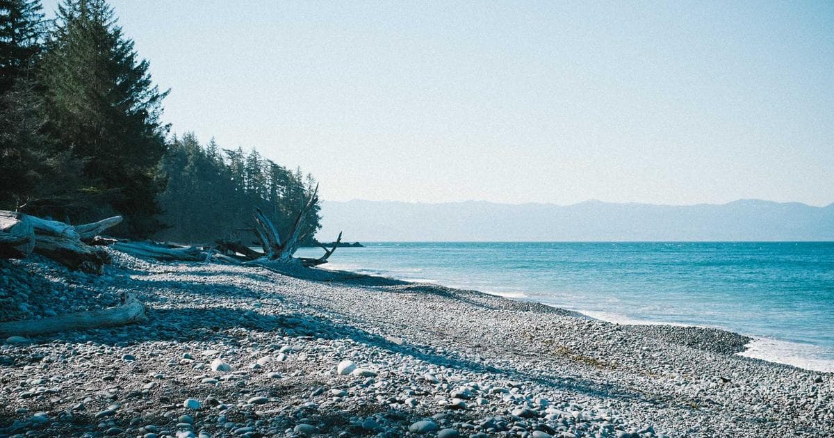 2026년 모던 CSS 테크닉 총정리