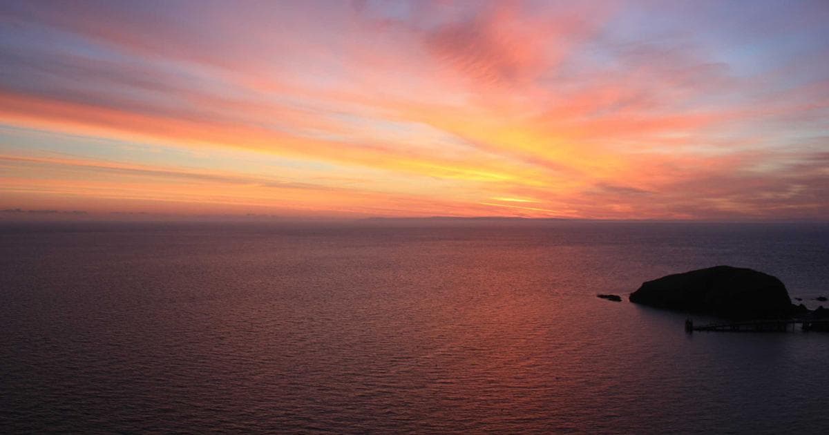 React 19 서버 컴포넌트 딥다이브