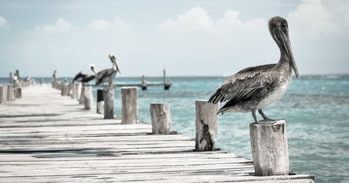 Realtime Analytics Dashboard